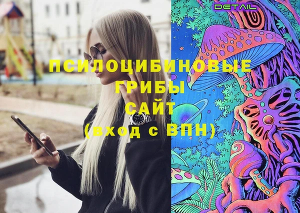 не бодяженный Инсар