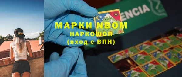 не бодяженный Инсар