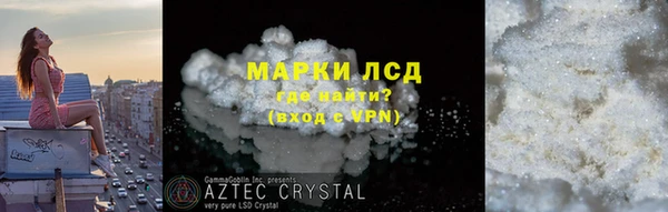 стаф Каменка