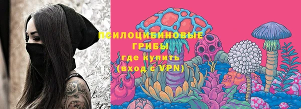 эйфоретик Инта
