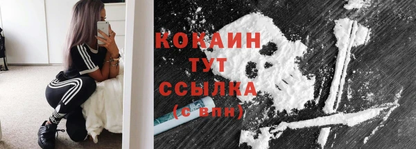 стаф Каменка